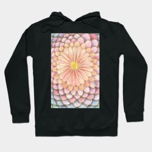 Multicolored chamomile Hoodie